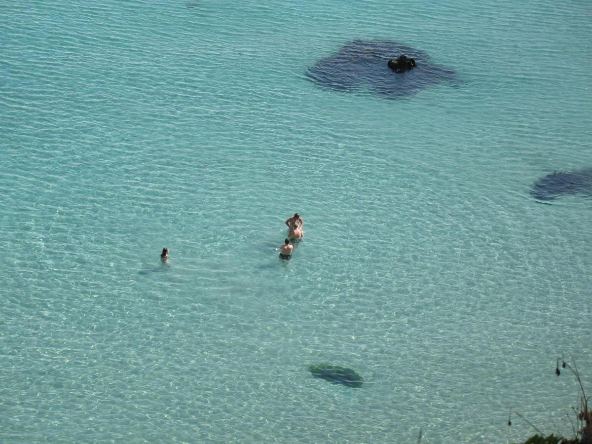 Le Dixmude, Appartement Proche Plage De Morgat 卡松 外观 照片